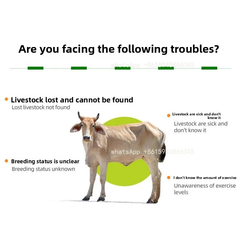 S307 intelligent animal ear tag, pedometer temperature measurement, automatic inventory remote monitoring