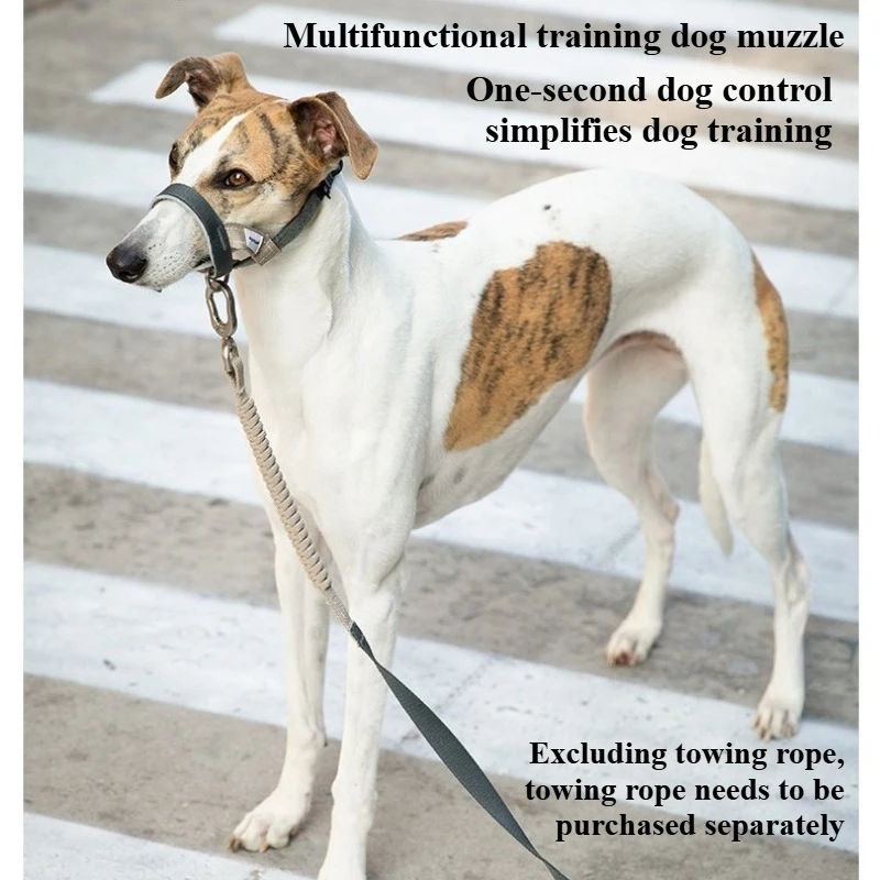

Ultra-Light Eco Dog Head Halter No-Pull for Small to Large Breeds – Soft Reflective Training Muzzle for Seniors & Women