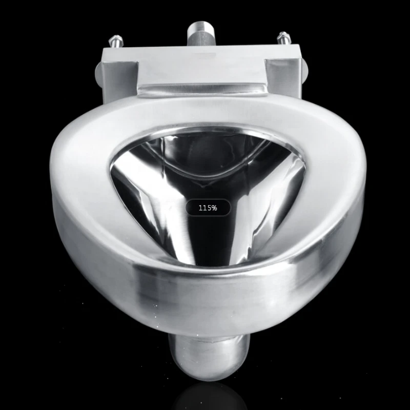 stainless steel toilet bowl