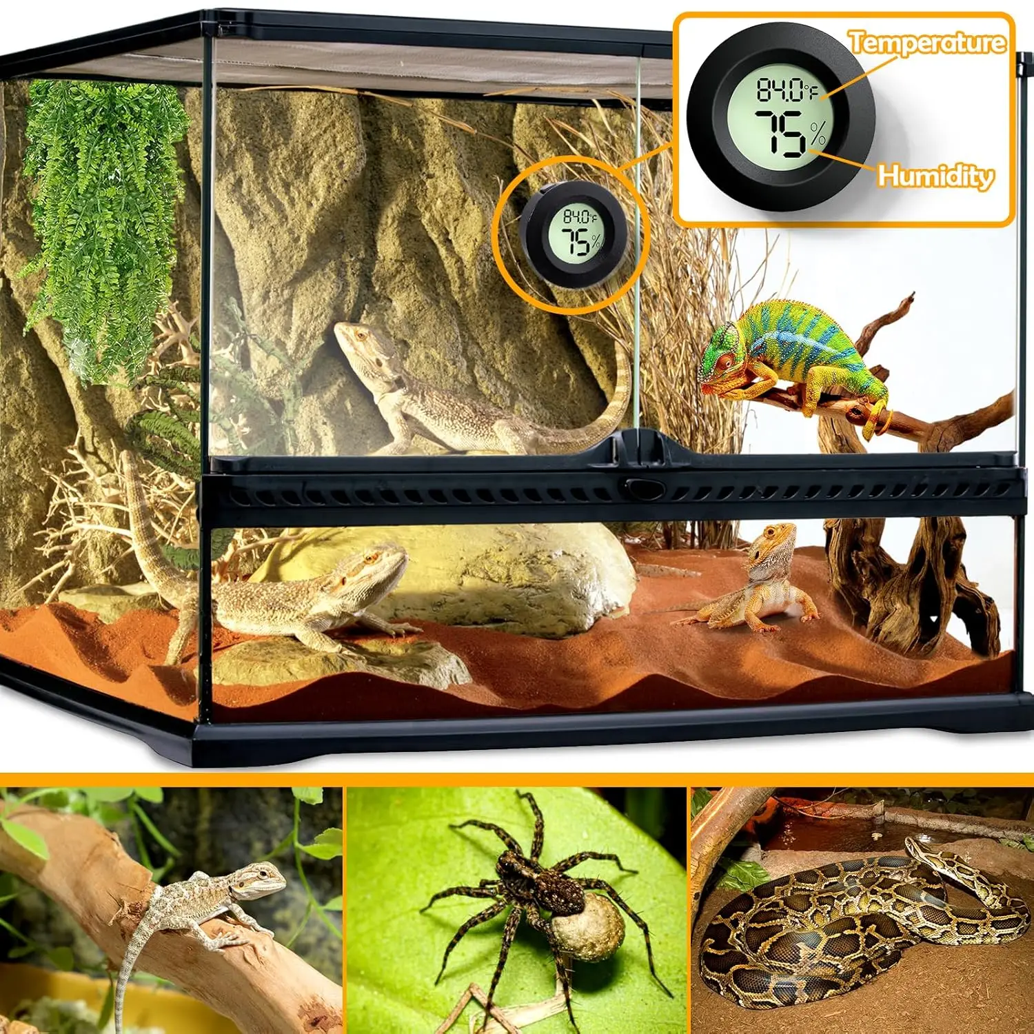 2 PCS Reptile Tank Accessories Reptile Thermometer and Humidity Gauge for Leopard Gecko, Jumping Spider Snake Gecko Lizard