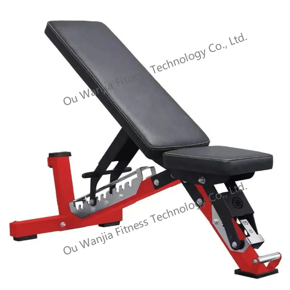 Customized Commercial Adjustable Dumbbell Bench for Abdominal Back Legs Training-Multi-Function Steel Weight Bench 80kg Weight