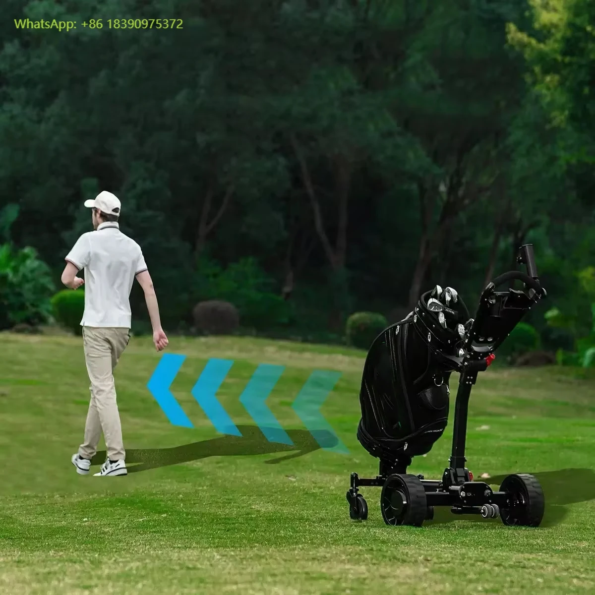 

Remote Control Foldable 4 Wheel Electric Golf Trolley with Detachable Battery Auto Follow
