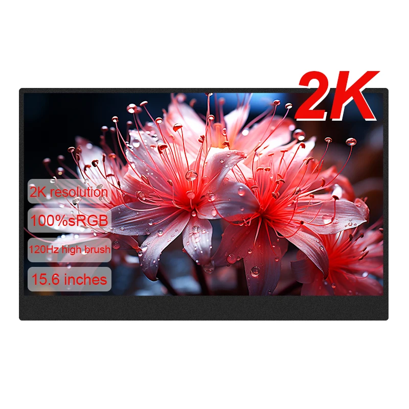 LANLIPU 15.6inch Portable Monitor 120HZ 2K 100%sRGB Expand Display Computer Monitor For PC/Cell Phone Xbox Switch PS4/5/Laptop