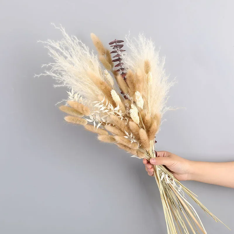 

Phragmites Reed Rabbit Tail Natural Pampas Grass Wedding Flower Arrange Dried Flower Decor Christmas Home Living Room Decoration