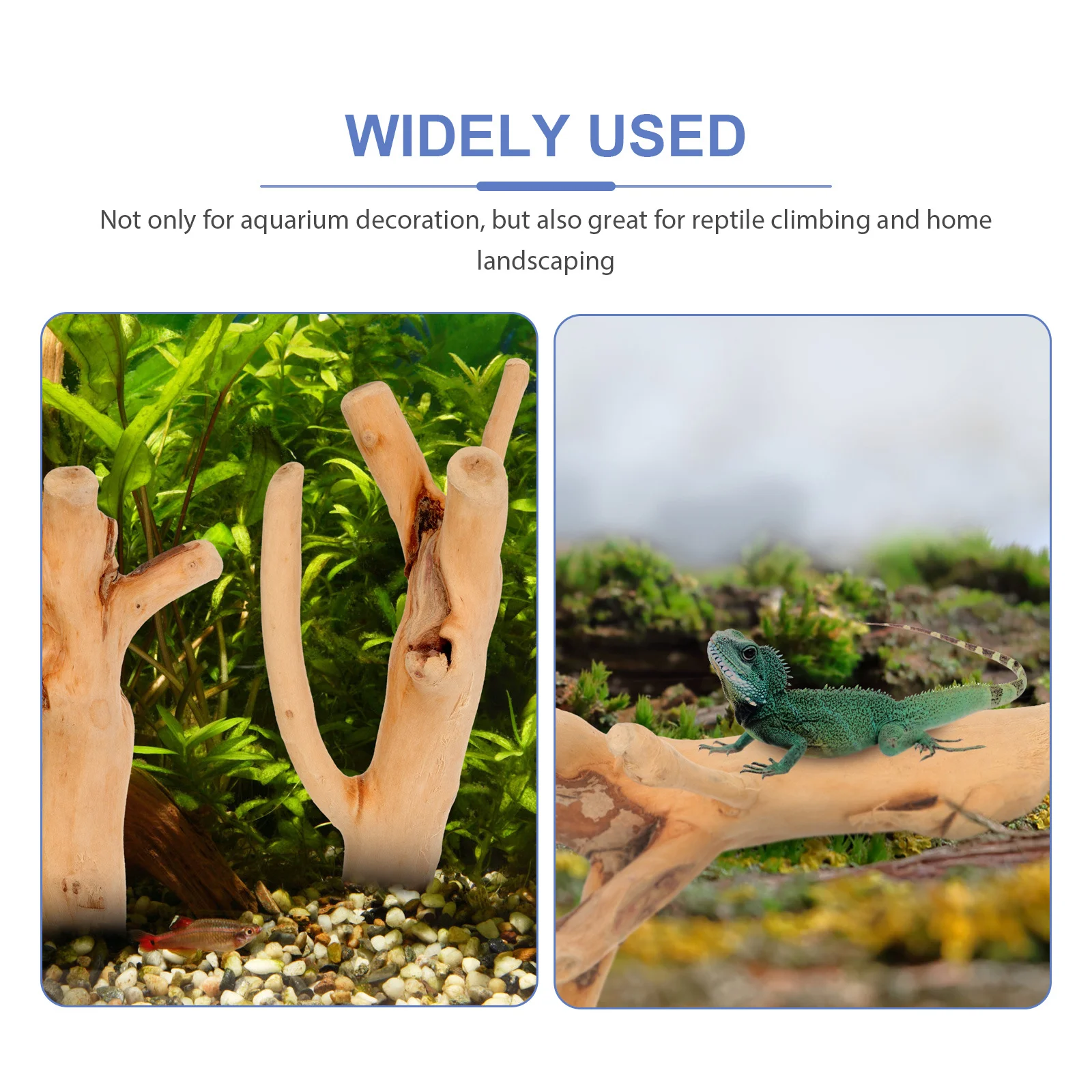 

10Pcs Aquarium Decor Driftwood Natural Wood Branch for Fish Tank Decorations Reptile Habitat Landscaping Aquatic Environment