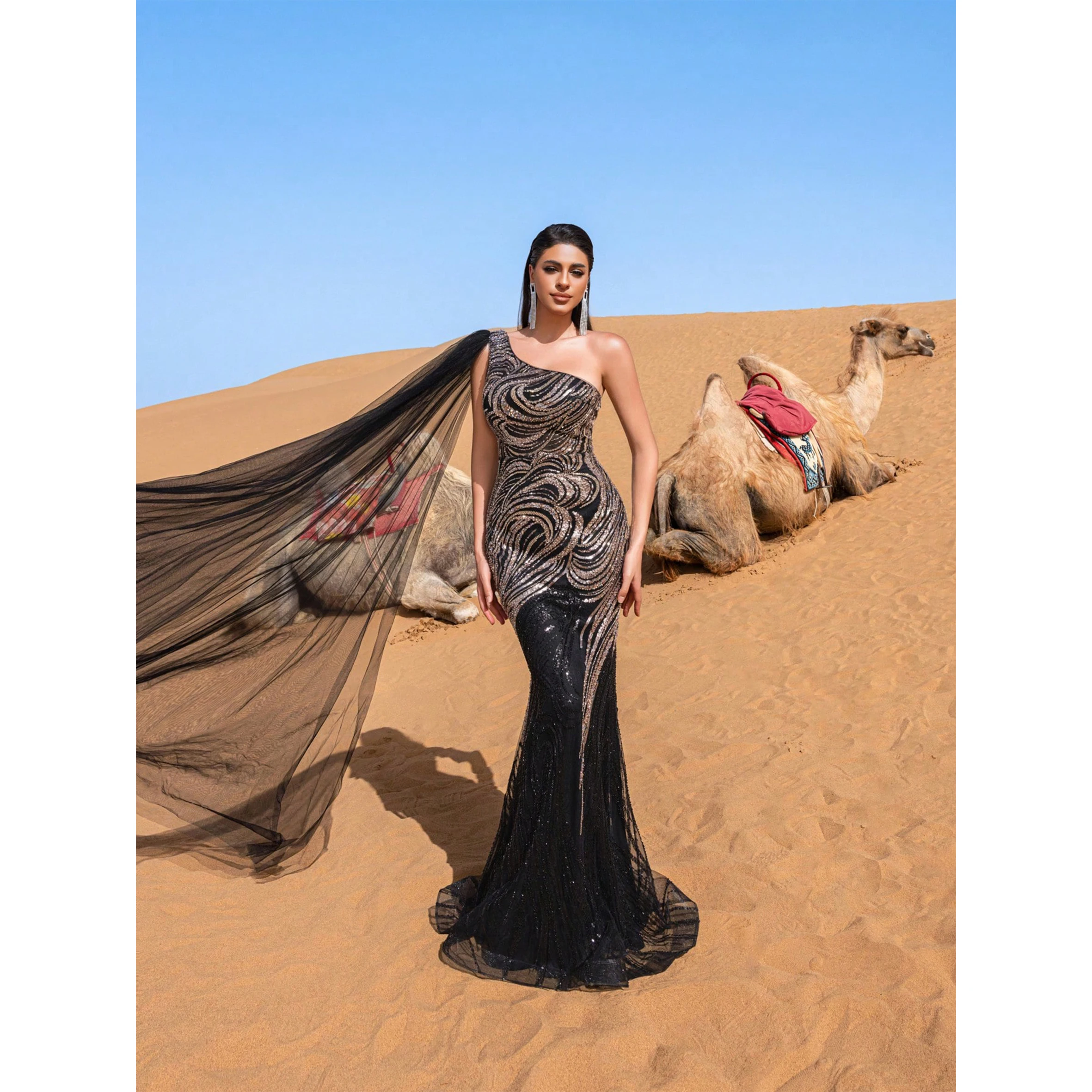 

Gorgeous One Shoulder Sheer Cloak Sleeve Graphic Sequin Beaded Formal Dresses & Evening Gowns