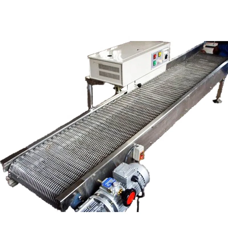 

High Quality Wire Mesh Belt Conveyor System