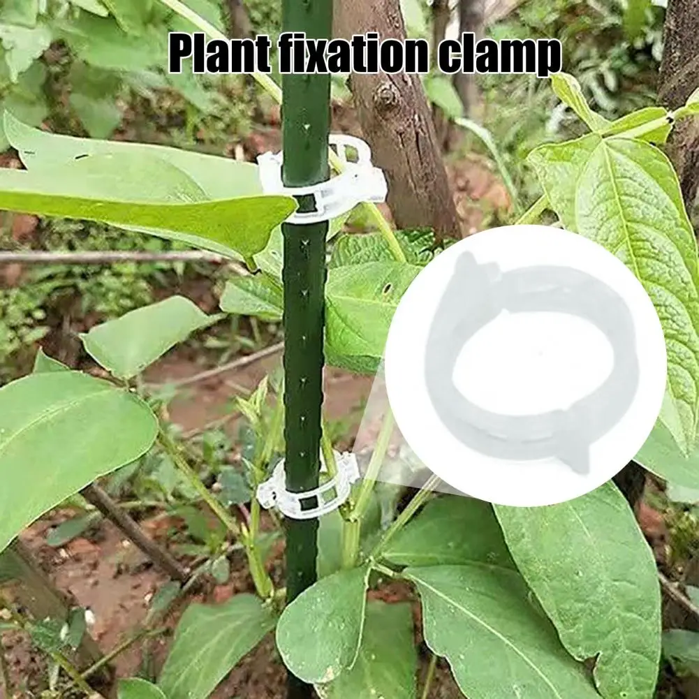 Greenhouse Plant Holders 100pcs Plant Support Clips Reusable Garden Fastening Clips Clips for Climbing Plants Grape Vine Netting
