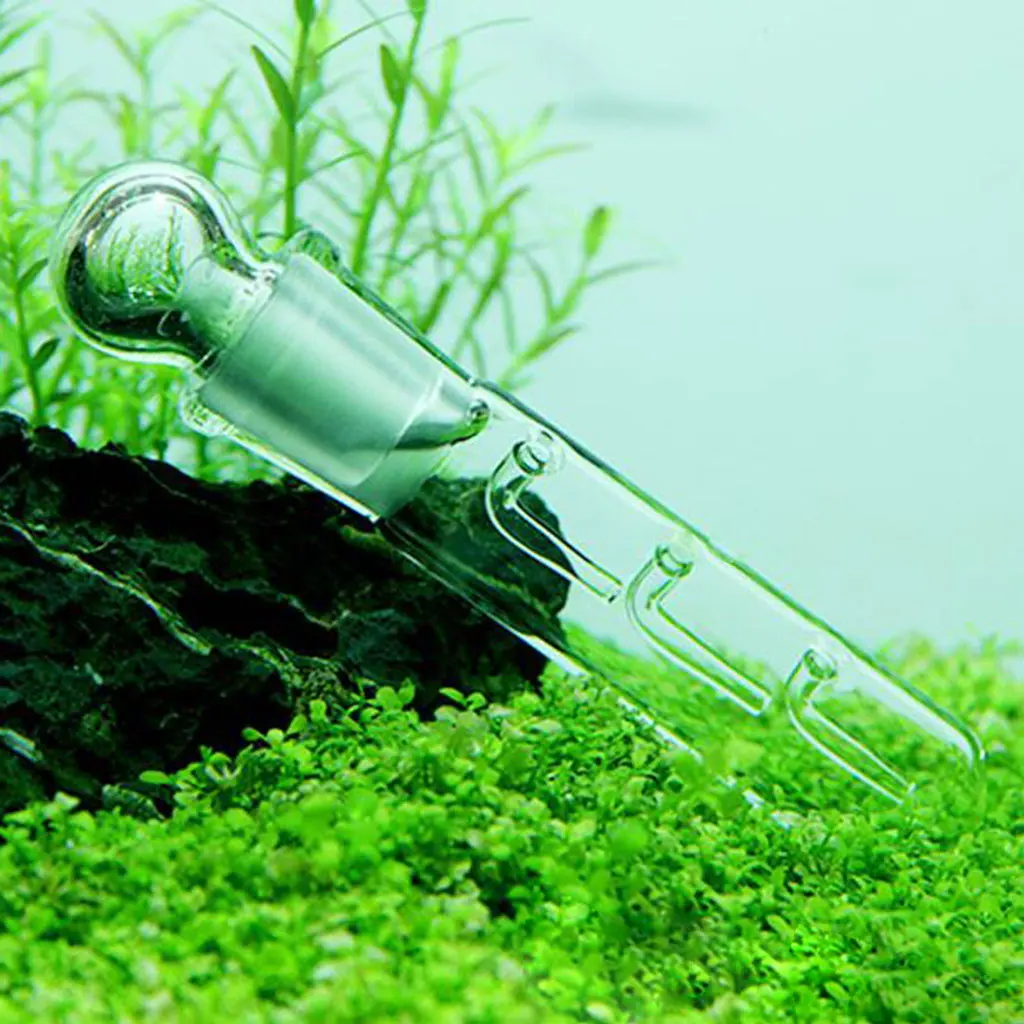 Glass Planaria Trap Leeches Catcher 3 Holes Clear Tube for Dwarf Shrimp for Tank