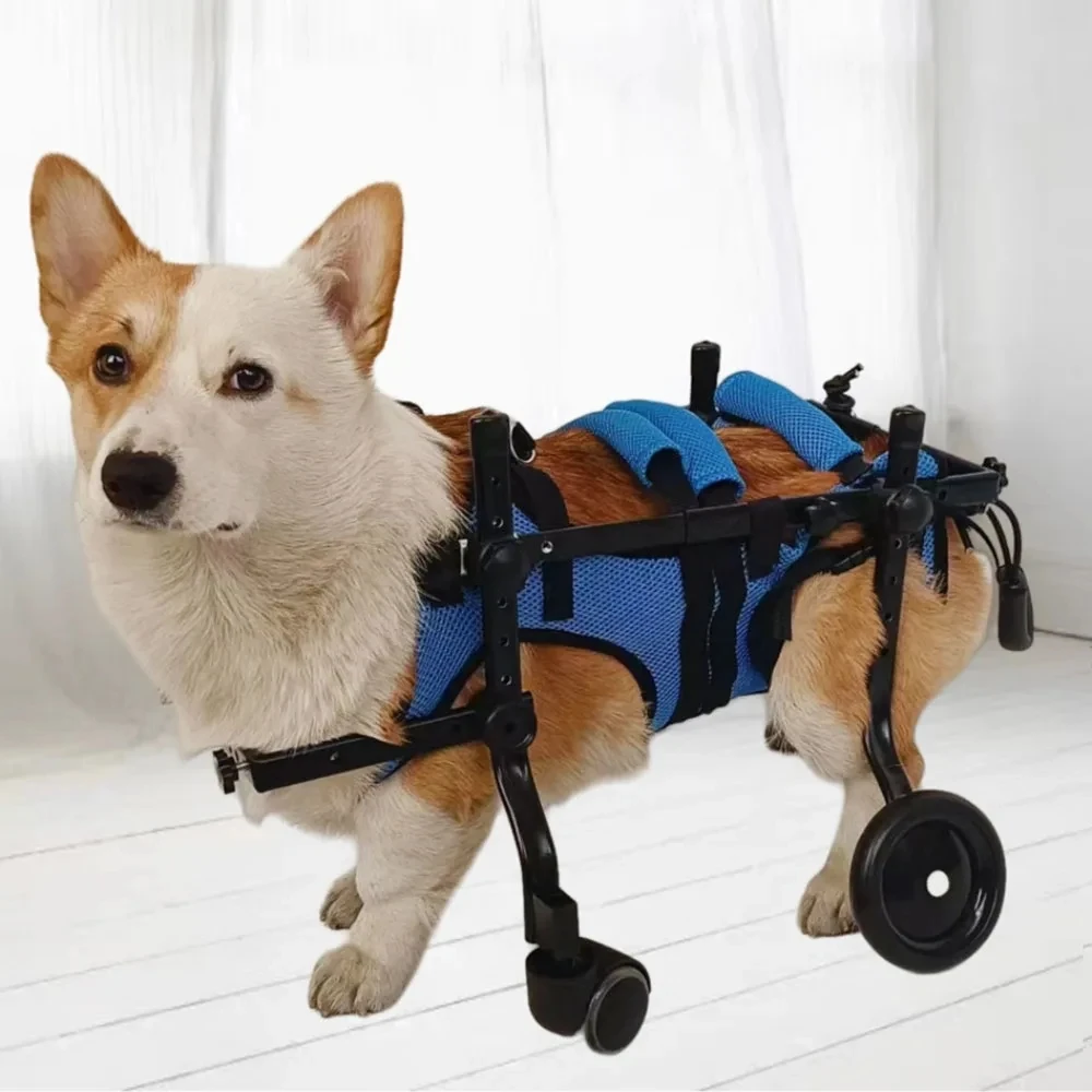 Dog Wheelchairs Disabled Paralyzed Rehabilitation Four-Wheeled Wheelchair Dog Elderly Mobility Aid Car Teddy Pet Hind Leg Suppor