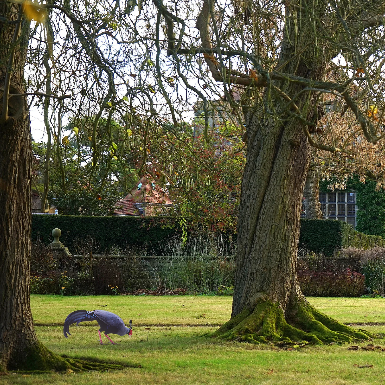 

Garden Chicken Yard Sign Acrylic Ground Insert Sculpture Rustic Outdoor Yard Decoration Lawn Ornament for Patio Courtyard Decor