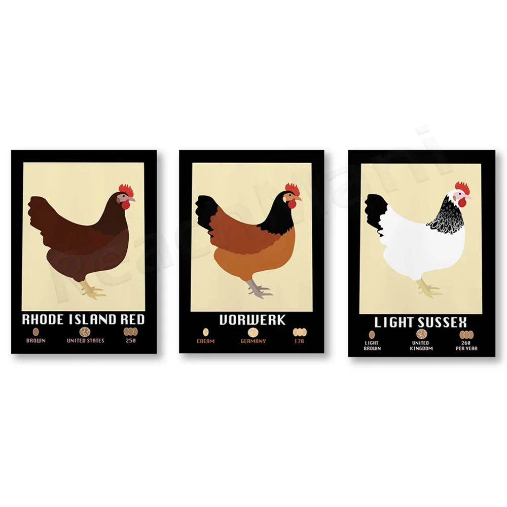 Light Sussex Chicken, Rhode Island Red Chicken, Vorwerk Chicken Poster, Farm Animals, Illustration, Country Kitchen Decor Poster