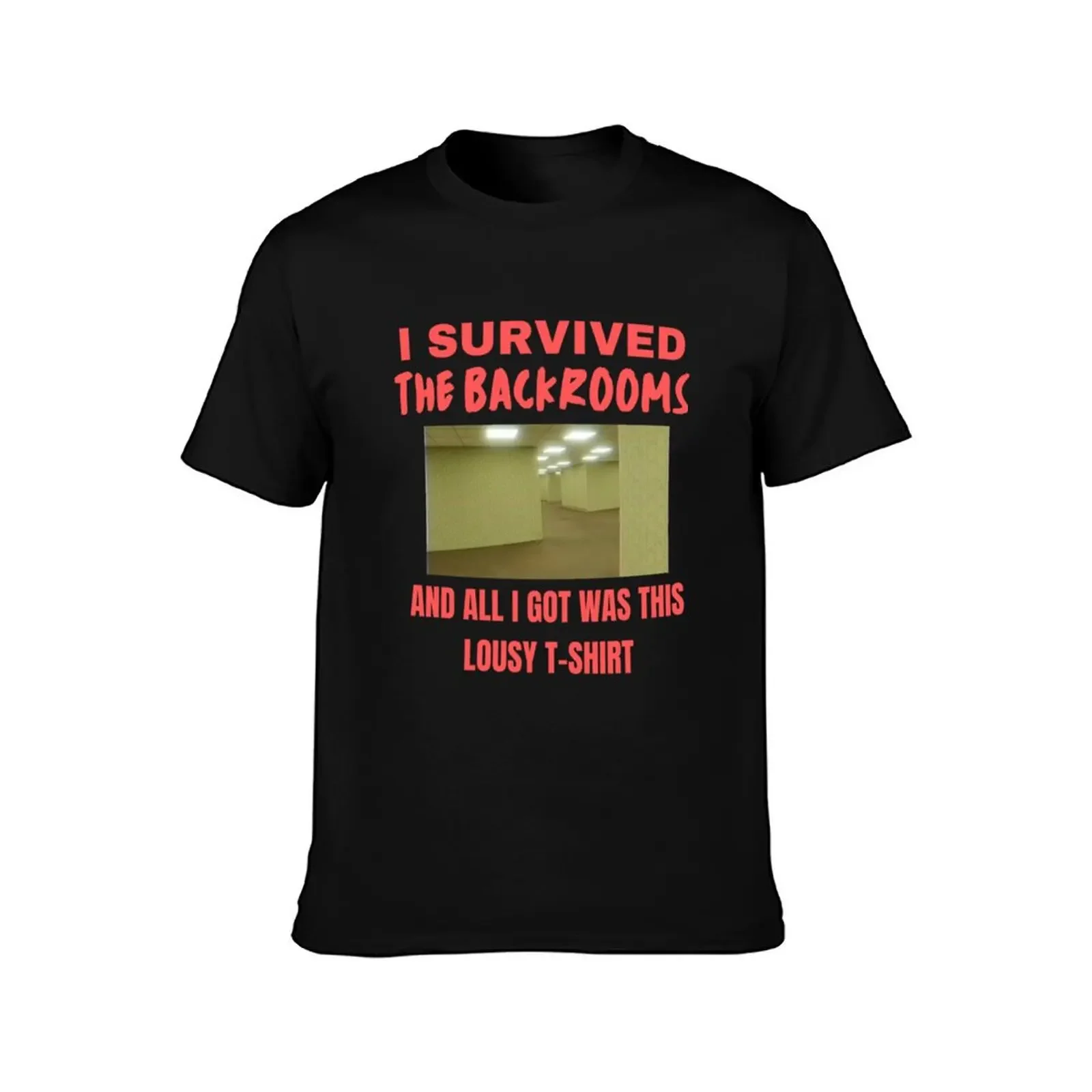 I Survived The Backrooms and All I Got Was This Lousy T-Shirt clothes summer 2025 funny costumes black t shirts for men