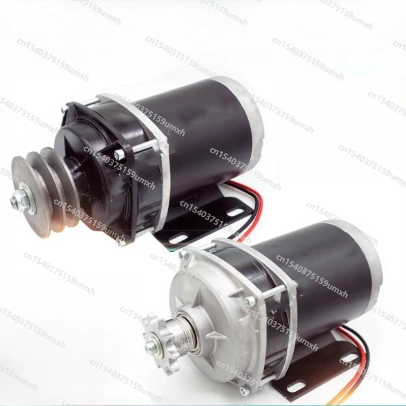 12V 24V 48V 800W Electric DC Feeding Vehicle Suction Motor Modified Screw Treadmill Motor Permanent Magnet Brushed DC Gear Motor