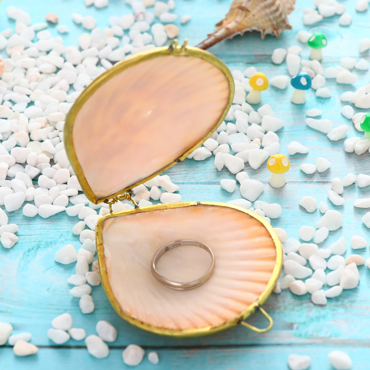 7 -8cm Shell Jewelry Box Top-grade Quality Ring Earring Container Bracket Bedroom Storage Sundries Organizer Bag Safe