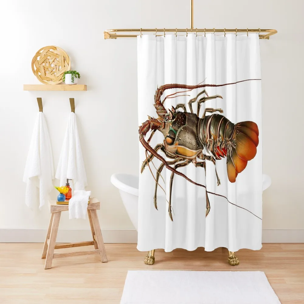 Vintage Spiny Lobster Shower Curtain For Bathroom Shower In The Bathroom Curtain