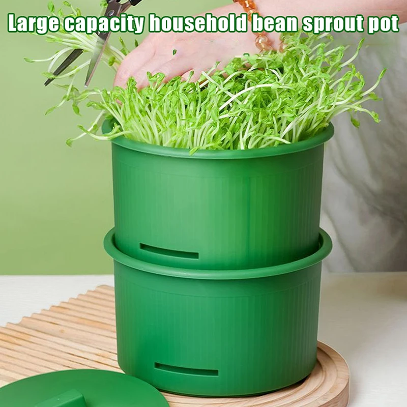 Seed‑Planting Box for Peas, Beans and Cat Grass, Hydroponic Soilless Sprouting Tray