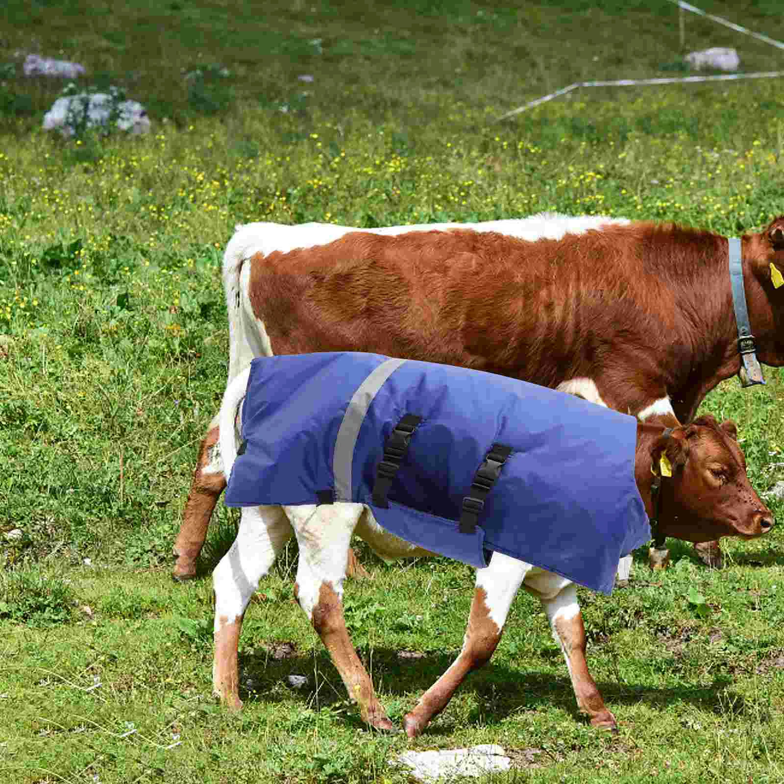 10 pçs colete de bezerro resistente velo forrado casaco quente impermeável à prova de vento cabra colete protetor rancho suprimentos pasto cuidados