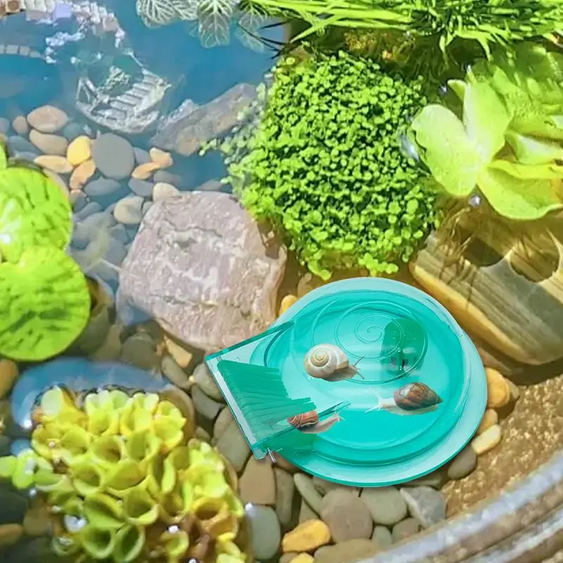 Snail Trap Transpar…