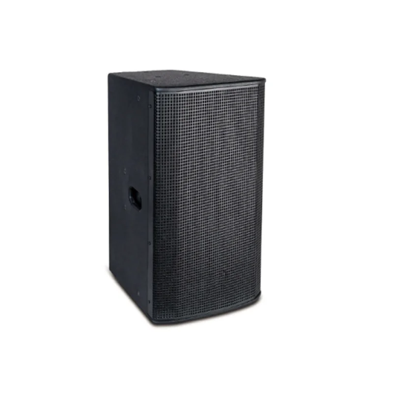 

12 inch multifunctional professional speaker with heavy bass and high power conference speaker