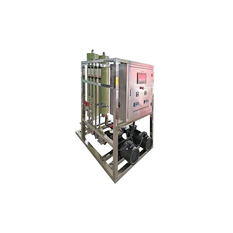 1000L/H Small Seawater Desalination RO Water System Reverse Osmosis Marine Seawater Desalination Machine