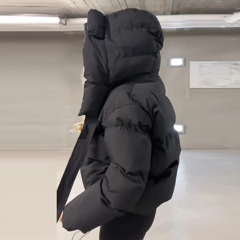 Modische Einfarbige Damen-Steppjacke mit Kapuze, Reißverschluss, Langen Ärmeln, Kurzer Schnitt, Locker Geschnitten, Schick, 2026 Herbst Winter Neue Streetwear für den Alltag – Detail 5