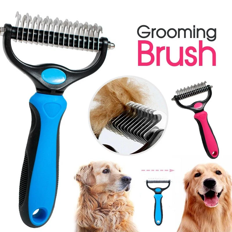 #6 Best Pet Combs & Brushes to Buy In 2026