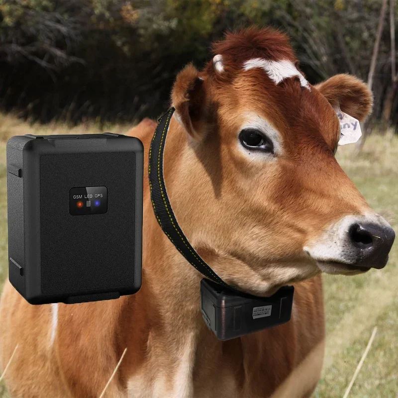 30000MAh 1 Year Working Tracking Device Real Locator GPS Farm Animal Tracker Car Vehicle Truck