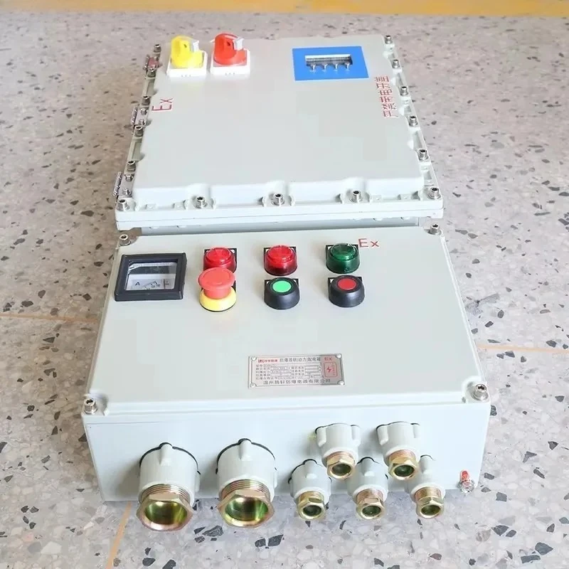 Aluminum Alloy Explosion-Proof Electronics & Instrument Enclosure Power Supply Control Box Maintenance Lighting Power Switch