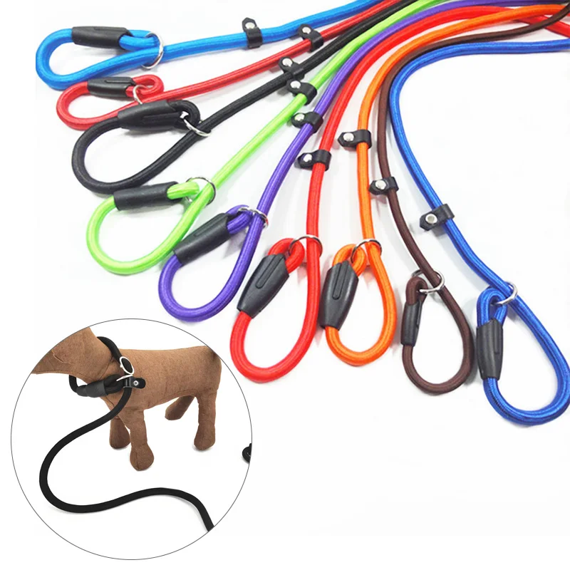 Corda de nylon ajustável trela para Pet, Slip Lead, Dog Slip Leash, Cadeia Collar, Training Leash para cão pequeno