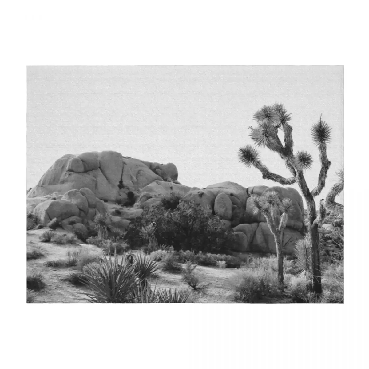

Arizona Desert Throw Blanket Soft Big Sofa Quilt Hairy wednesday Blankets