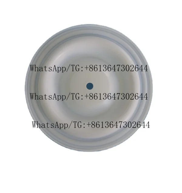 Air Operated Diaphragm Pump Part CF 04-1010-55  Ptfe Diaphragm for  Pump