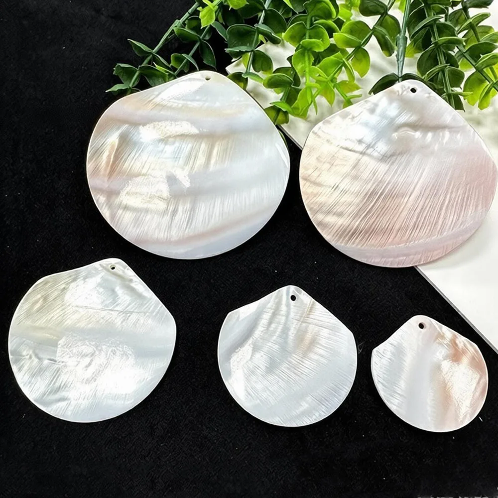 10pcs Natural Shell Bead Irregural Sector Shell Loose Spacer Beaded for Making DIY Jewelry Necklace Accessories 40/50/60/70/80mm