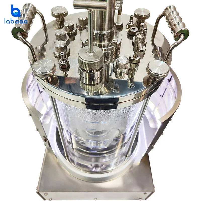 Laboao 10L High-Pressure Sterilization Glass Bioreactor Ideal for Strain Screening