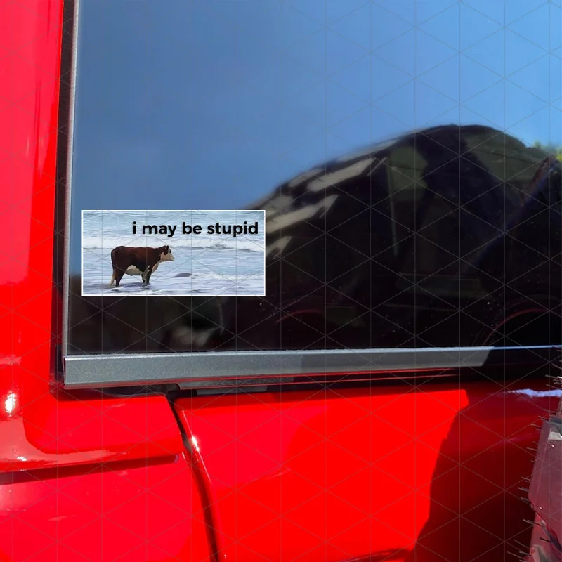 ملصقات سيارات روح الدعابة "يمكن أن أكون غبيًا" ذات طابع البنزين - ملصقات باب روح الدعابة للسيارات والشاحنات والشاحنات والشاحنات #5