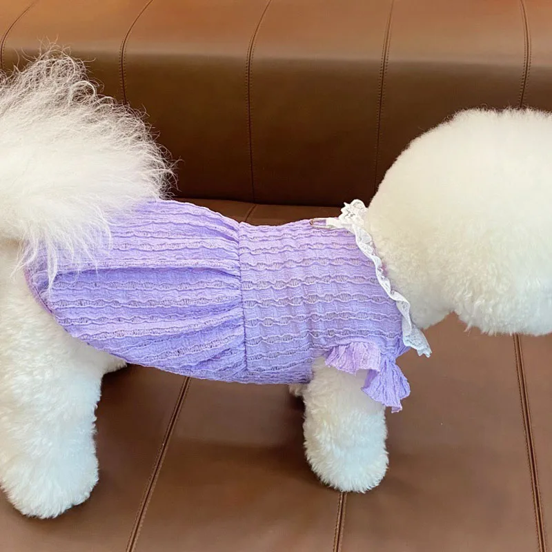 Vestido de verano para perros y gatos Sweet Girls, con capucha
