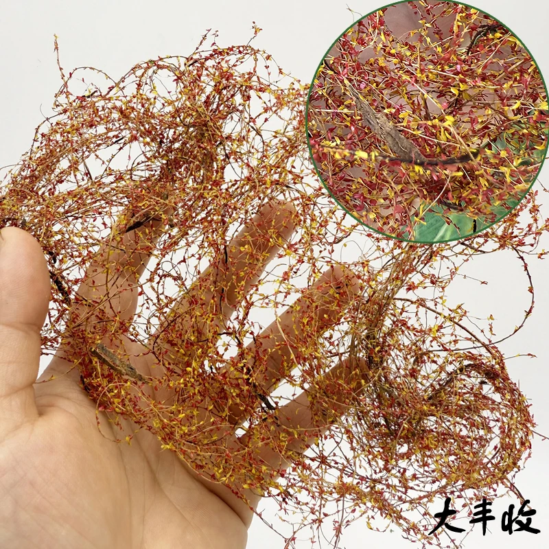 Model krajobrazu mikro, symulacja roślinności, winorośl, platforma piaskowa, dekoracja, model zbiornika, model schronienia, model kolejowy, układ kolejowy.