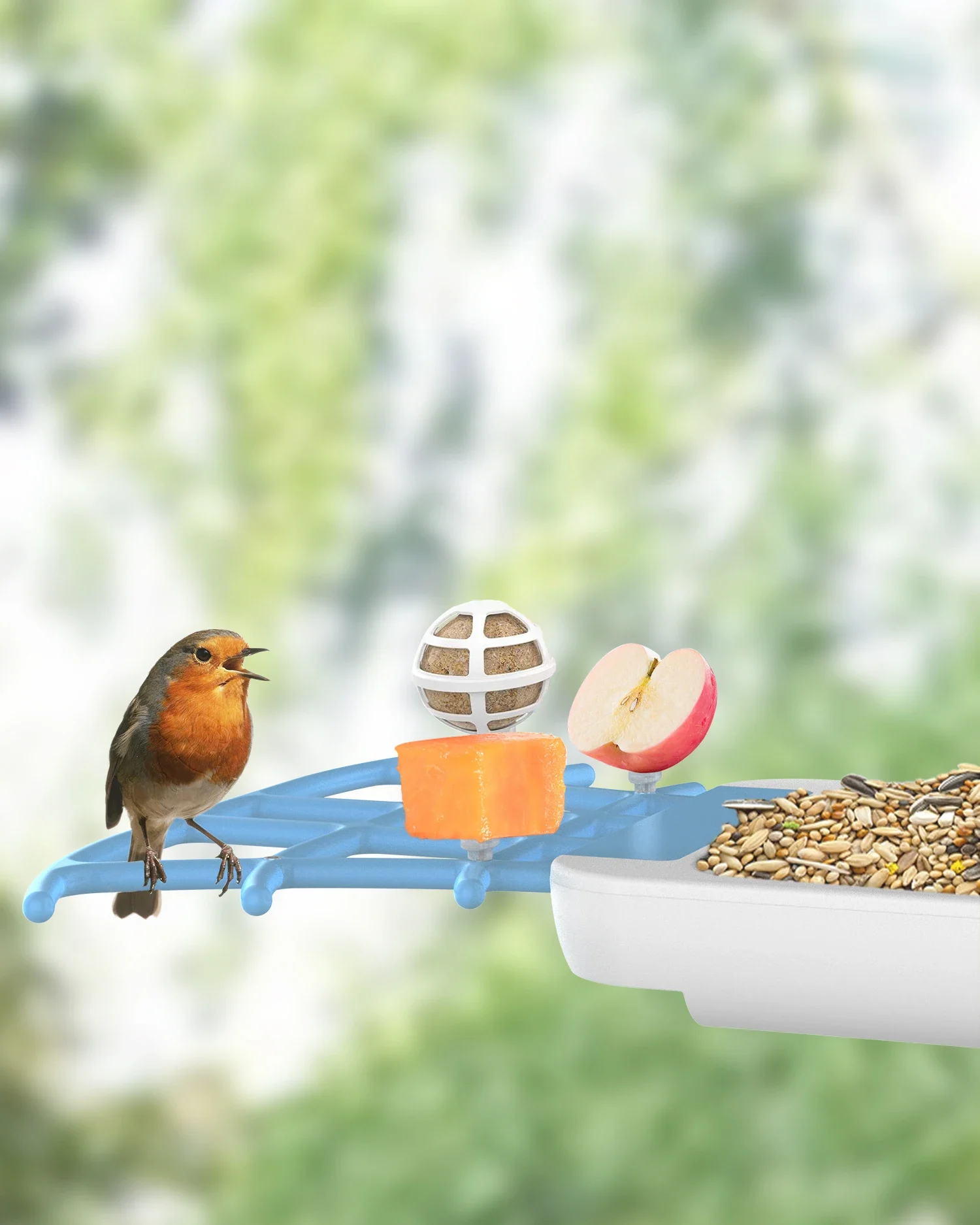 Smart Outdoor Waterproof AI Detect 10,000 Bird Species Squirrel-proof Bird Feeder With Camera