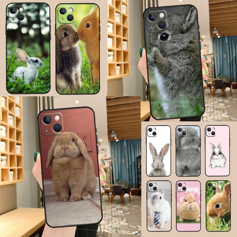 Baby Rabbits Bunny … - image