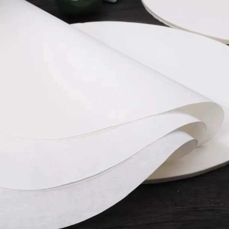 Round Qualitative Filter Paper 6cm 10cm Fast/Medium/Slow Speed 100Pcs Lab Chemical Filter Paper