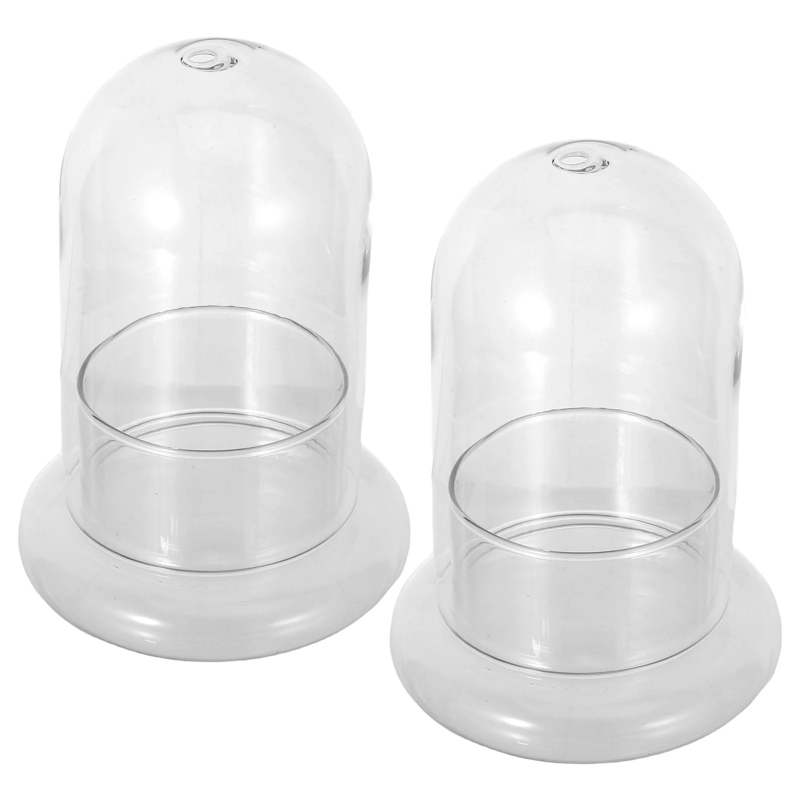 

2Pcs Micro Landscape Ecological Glass Bottle Transparent Miniature Terrarium Decoration Suitable for Home Office