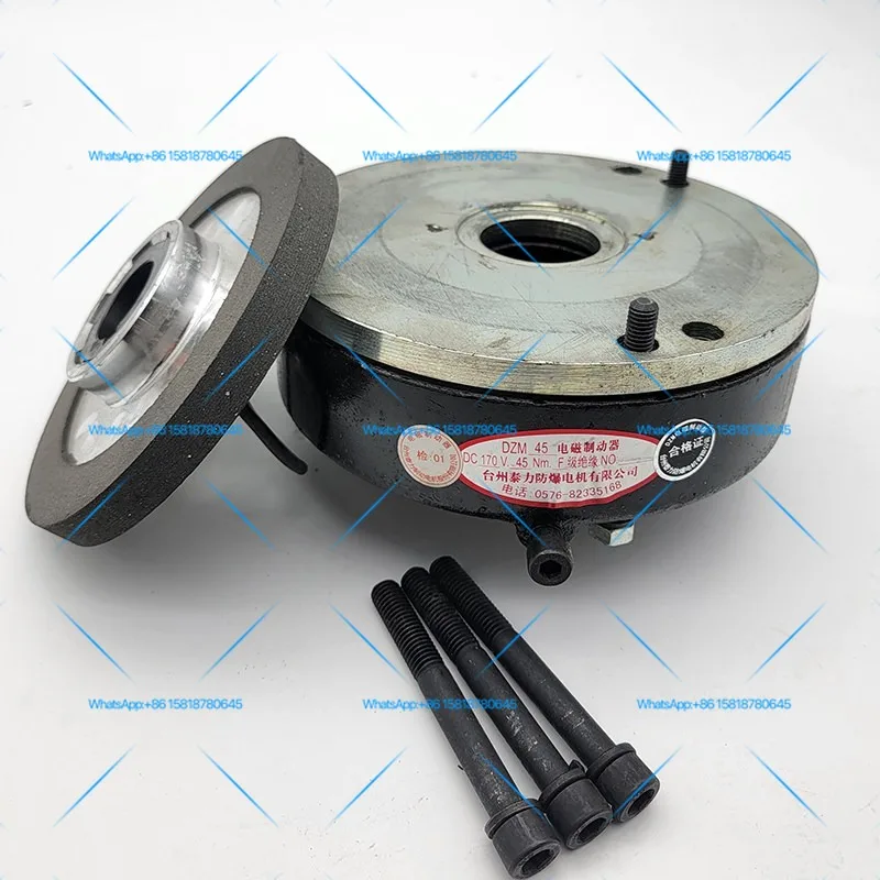 Taizhou Taili explosion-proof motor electromagnetic brake DZM08/16/32/45/80 original