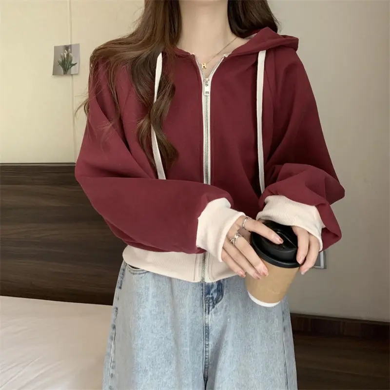 Fashion Solid Color Casual Hooded Sweatshirts Female Clothing 2024 Autumn Winter New Loose All-match Tops Korean Sweatshirts