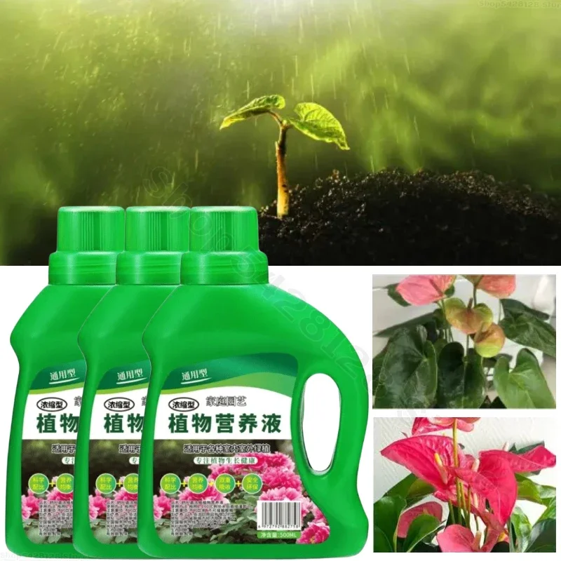 Hydroponic Plant Nutrient Solution Fertilizer Bamboo Flower Fertilizer Potted Green Concentrated Foliar Seed Fertilizer 500ML