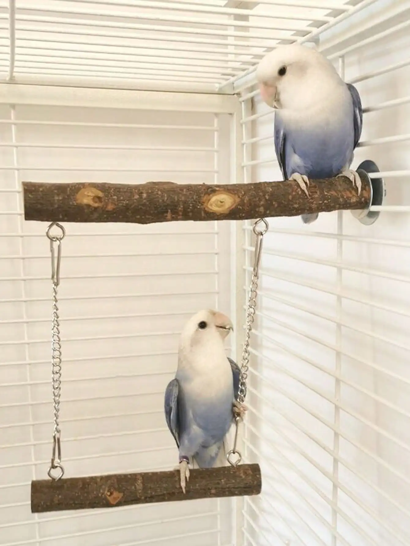 Thumbnail 2 - #32 Bird Perch Stands Comparison Guide