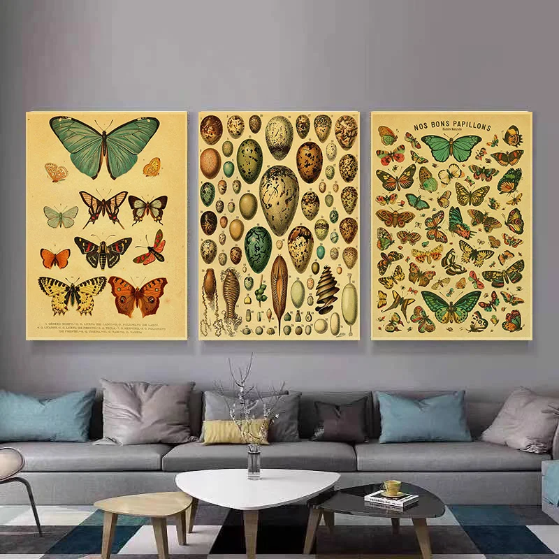 Botanical Educational Poster Butterfly Insect Fruit Birds Fish Animal Cafe Art Picture Nostalgia Palaeobios Plant Retro Painting