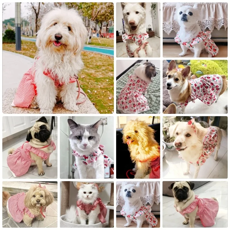 Pet Dog Clothes for Small Dogs Summer Dog Dress Fashion Print Puppy Princess Skirt Cute Flying Sleeve Cat Dress Pet Dog Costumes