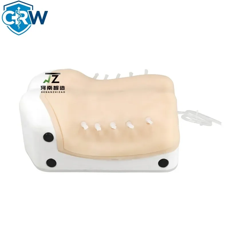 CRW Bestselling Transforaminal Endoscopic Surgery Training Back Model Ube Model Transforaminal Endoscopy Training Simulator