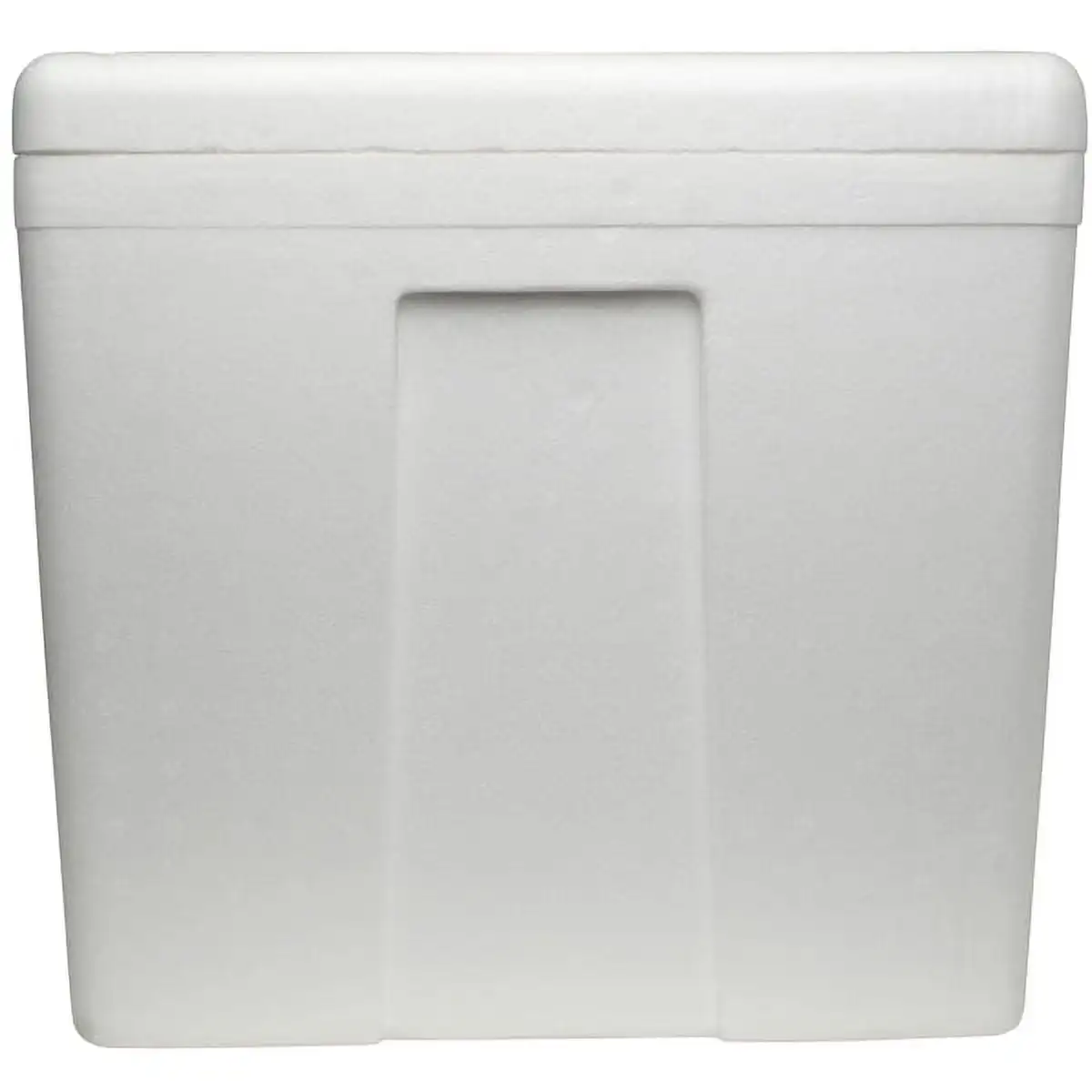Large Styrofoam Cooler, 45 Quart Foam Cooler, 48 Can Capacity, White， cooler box