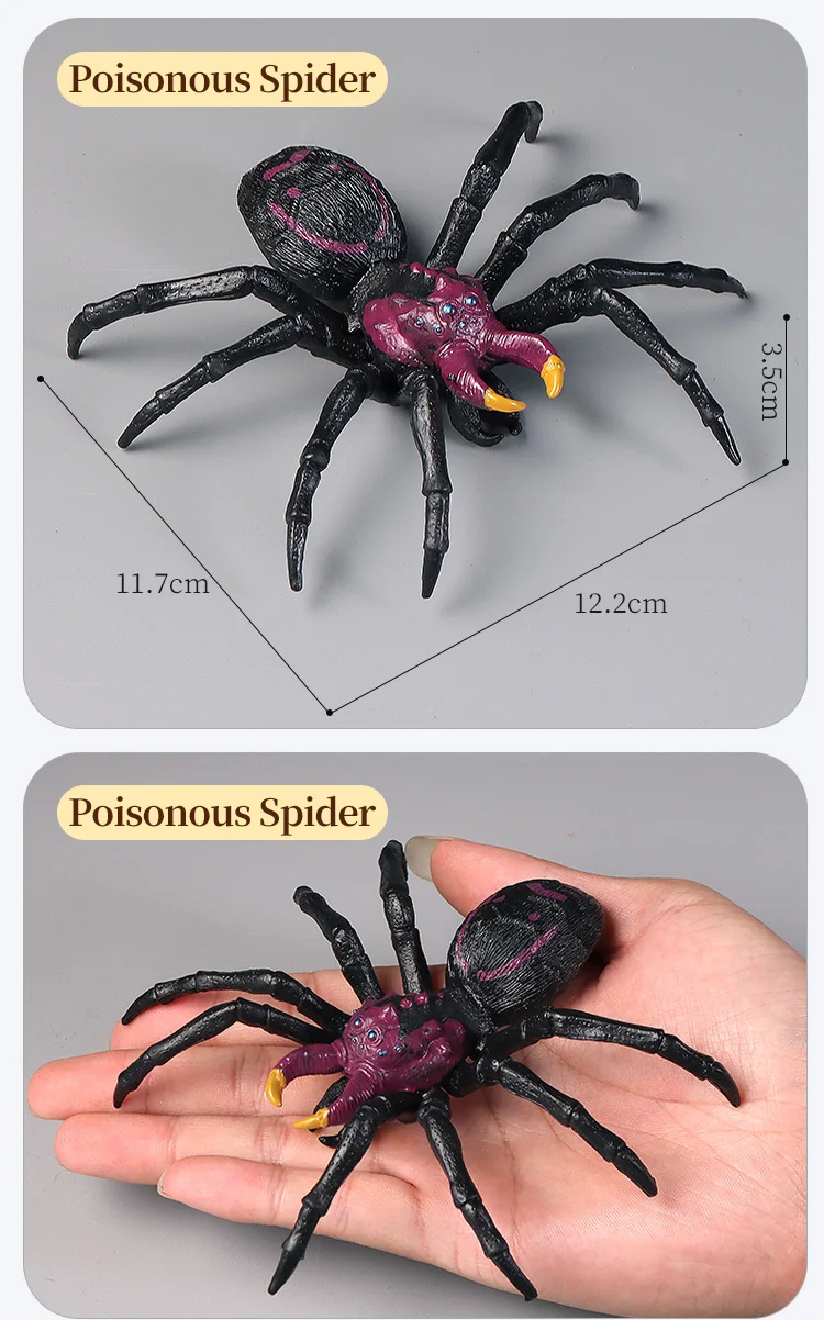 Pädagogische Insekten Spinne Spielzeug Zoo Action Figur Set Tier Welt Wissenschaft Kognitive Lernen Modell Simulation Dekor für Kinder – Detail 5